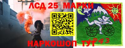 Альфа ПВП Кудрово