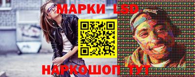 стаф Кузнецк