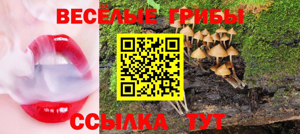 Псилоцибиновые грибы GOLDEN TEACHER Белореченск