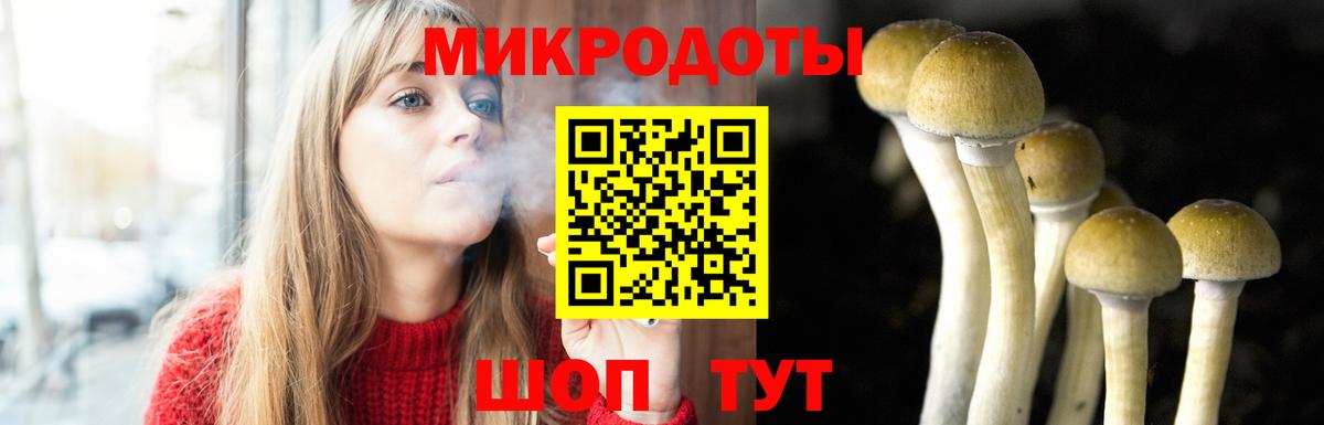 Белореченск  Псилоцибиновые грибы Cubensis  Вход с VPN 
